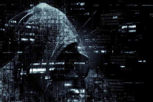 网络安全软件开发 动点科技第894页精选摘要